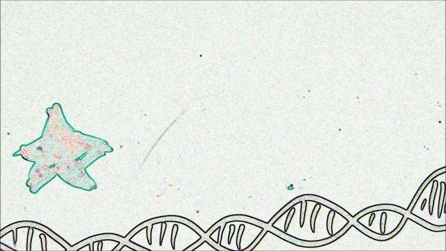 BioUnalm for dummies #1 - Qué es un regulón? смотреть онлайн