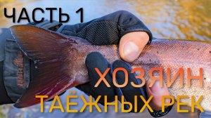 ХОЗЯИН ТАЕЖНЫХ РЕК! (Часть 1) - Я ПОЙМАЛ ЕГО! НАКОНЕЦ-ТО!