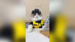Most Liked That Little Puff Tiktoks 4