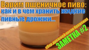 пивные дрожжи: как и в чем хранить жидкие пивные дрожжи