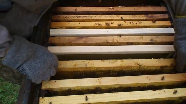 Пчелиный рой - Разведение пчел 2 часть смотреть онлайн