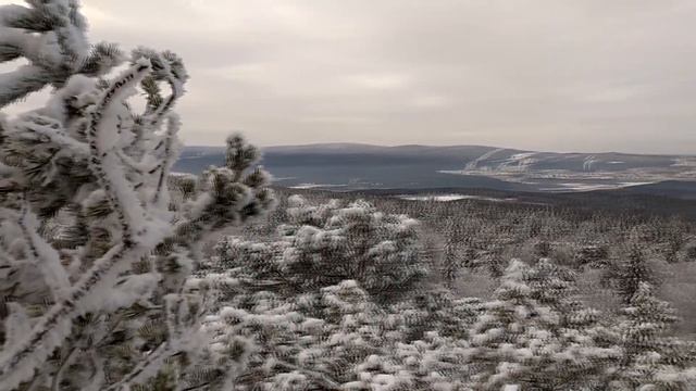 Скалы Семибратка - прогулка по экотропе
