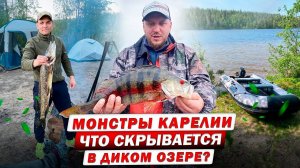 УДИВИТЕЛЬНАЯ РЫБАЛКА В СЕВЕРНОЙ КАРЕЛИИ / Загадка трофейных окуней и щук / Рыбалка на хищника
