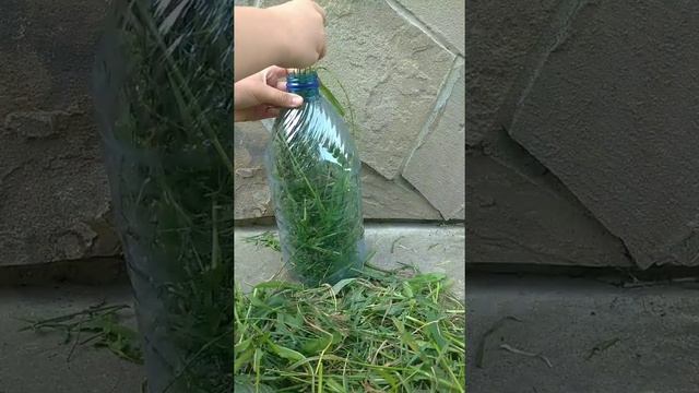 Как сделать удобрение из травы смотреть онлайн