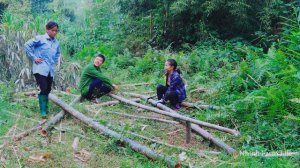 Man Lives With 2 Wives in The Green Forest, Building Bamboo Houses For a New Life - Ep.2