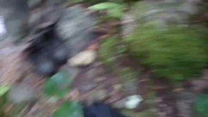 Ворошиловские водопады и озеро чистой любви...  Приморский край