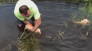 Тренер по плаванью