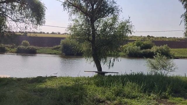 Терраса из массива Ели "Классик" В лучших традициях национального зодчества. смотреть онлайн