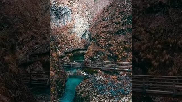 Ущелье Винтгар Cловения Vintgar Gorge Slovenia