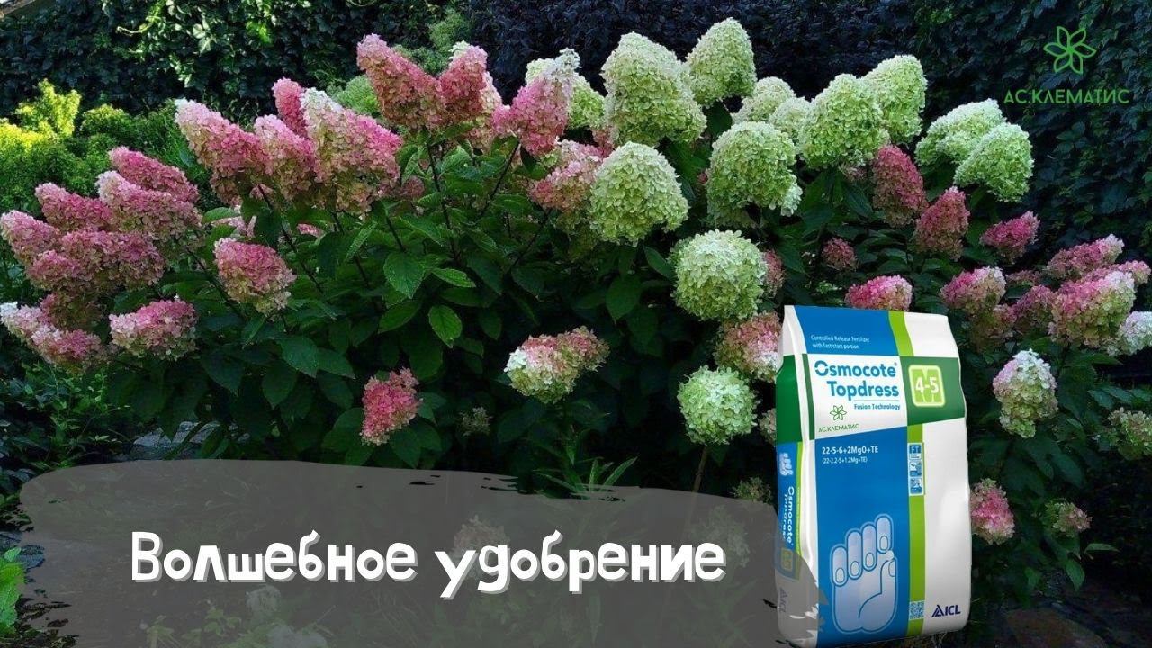 САМОЕ лучшее современное УДОБРЕНИЕ для ВСЕХ растений в саду! ОДНА подкормка на ВЕСЬ сезон!