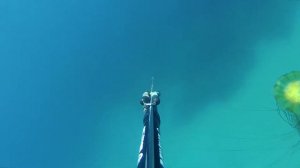 Голубая лагуна 2018