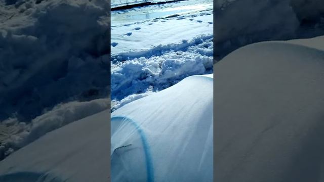 Як зробити парник тунель для лохини з пластикових труб смотреть онлайн