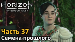 Horizon Forbidden West | Часть 37 | Прохождение | Семена прошлого | Стеблерез | Полигон Ива