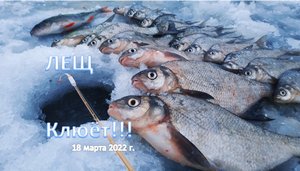 РЫБАЛКА на ЛЕЩА ВЕСНОЙ. ЛУЧШЕЕ ВРЕМЯ ДЛЯ ЛОВЛИ ЛЕЩА.