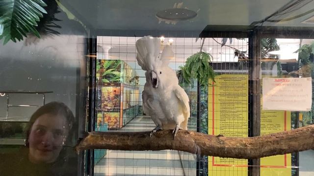 Кострома музей природы