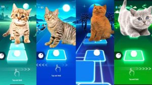 Cute Cats - Enemy (by Bongo Cat) VS Cats - Shakira Waka Waka (by Bongo Cat) I 😻Tiles Hop EDM Rush😻