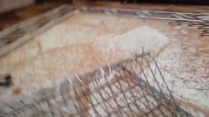 Ловушка на коршуна