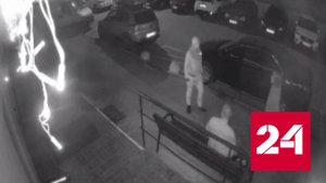 Фатальный конфликт из-за собаки в Звенигороде попал на видео - Россия 24