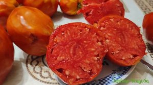 Вкусные и крупные томаты: Древние сердце Акви Терме и Знаменитая клубника миссис Шлаубах.
