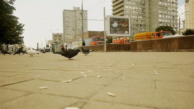 Алина Делисс "Путь от тебя к себе"