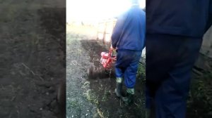 Мотоблок "Хопер 1000У7Б" первый опыт(2)