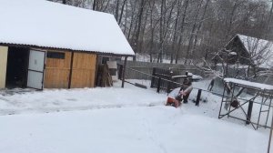 Снегоуборщик Хопёр