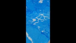 Гибкий камень для фасада и интерьера