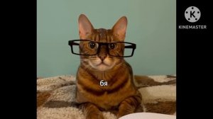 Валерий Полосатиков Делает БЯ ??