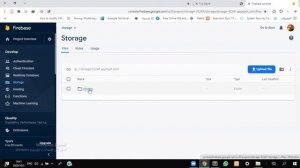 firebase storage upload &down
