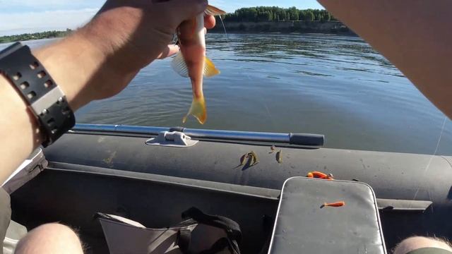 Кубок Сибирского Трофея 2021. Ловля хищника на спиннинг с лодок. смотреть онлайн