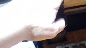 Конденсат на ондулине в беседке.