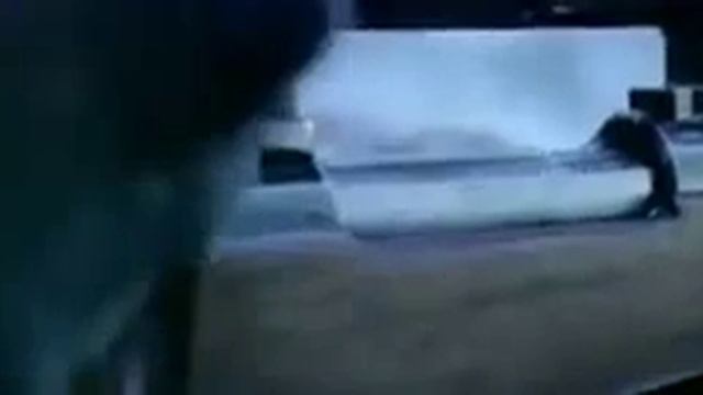 Охота на оленей смотреть онлайн