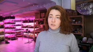 Как прорастить семена фенхеля на #микрозелень и #бебизелень #ильинскиепроростки #семенаильинские