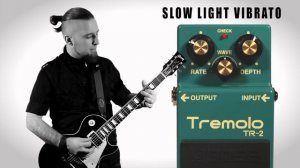 ROLAND BLOGGER обзор педали BOSS TR-2 выпуск 7