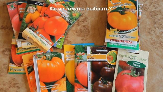Помидоры для грунта и теплицы. Детерминантные и индетерминантные. Какие выбрать для посадки?
