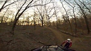 ботаника 8 го марта