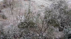 Первый снег в Пензе 2017 год