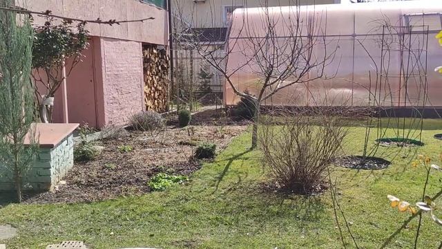 ВЕСНА КРОКУСЫ смотреть онлайн