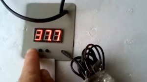 Краткий обзор бытового инкубатора" несушка би1 Би 2"