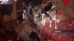 ЧП от 12.11.2010