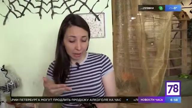 Пауки-птицееды. Страшные или прекрасные? смотреть онлайн