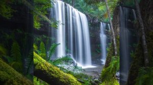 Валерий Михайлович Дидюля (в изгнании)