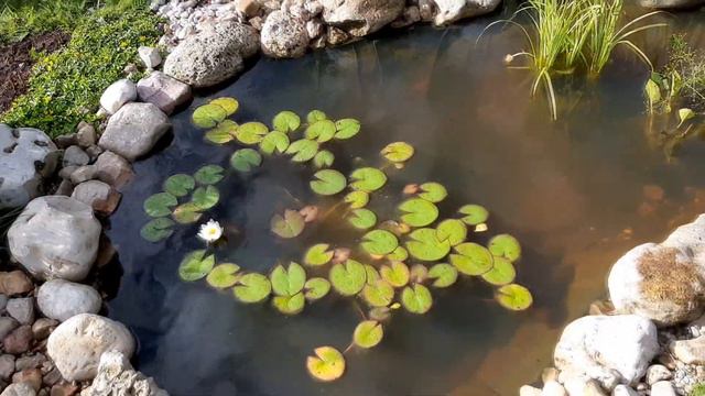 Дачный пруд своими руками. смотреть онлайн