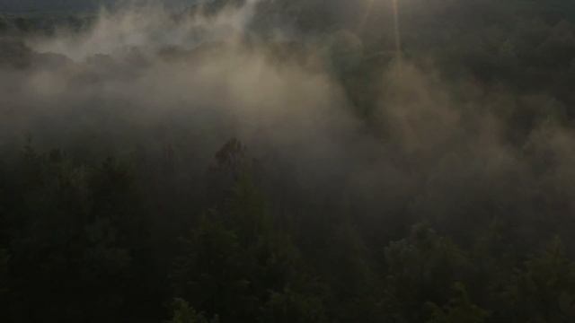 A Journey of Romance and Relaxation with Saxophone and 4K Drone Footage смотреть онлайн