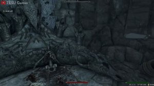 Что Будет Если Собрать ВСЕ Маски Драконьих Жрецов? Skyrim