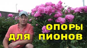 развалились пионы? что делать? опоры для пионов го*на и палок