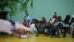 Фризы и другие лошади: Schleich и не только