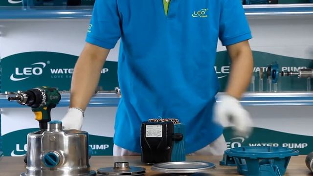 LEO AJm75S Pump Disassembly & Assembly смотреть онлайн