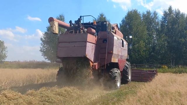 Уборка озимой пшеницы. Комбайн ПОЛЕСЬЕ GS12 (КЗС-1218). Сезон 2023. Жнива.