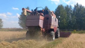 Уборка озимой пшеницы. Комбайн ПОЛЕСЬЕ GS12 (КЗС-1218). Сезон 2023. Жнива.